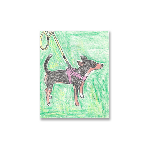 Dog in Canada 5 カナダで見た犬その5