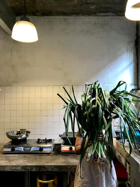 Organic leek and ginger oil