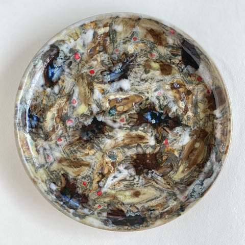 Caladium Plate 1 (19cm)