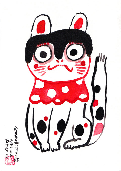 A cute Hariko Cat Today too