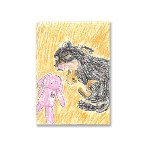 Rooney & Momo ルーニーとモモ