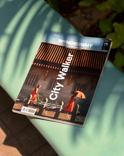 Wonderwhy Magazine Issue 1: City Walker