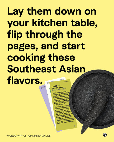 Wonderwhy Southeast Asian Zine Recipe: Cold Beef Noodle Soup