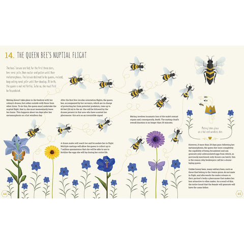 The World of Bees