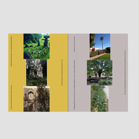 The Plant issue 15