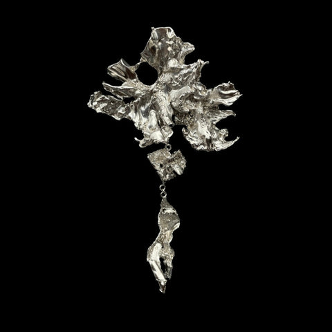 Brooch: Ayal Silver