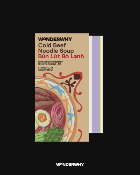 Wonderwhy Southeast Asian Zine Recipe: Cold Beef Noodle Soup
